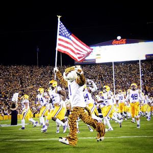 Image post by @lsumiketiger on Instagram