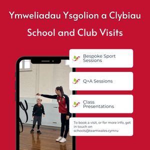 Image post by @team_wales on Instagram