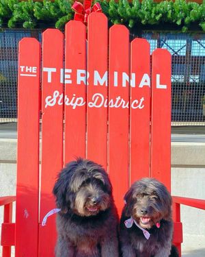 Image post by @sdterminal on Instagram