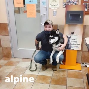 Image post by @spokhumanesoc on Instagram