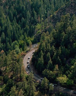 Image post by @nauflagstaff on Instagram