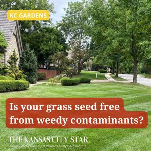 Image post by @thekansascitystar on Instagram