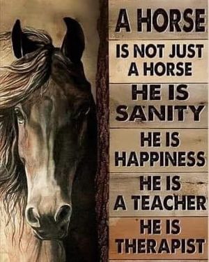 Image post by @equineidsolutions on Instagram