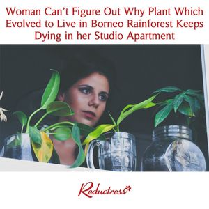 Image post by @reductress on Instagram