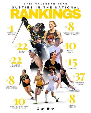 Image post by @gustieathletics on Instagram