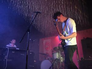 Image post by @treefortfest on Instagram