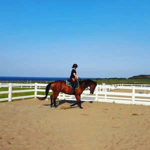 Image post by @performancesaddlefitssthsydney on Instagram