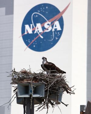 Image post by @nasaartemis on Instagram