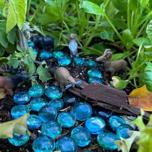 Image post by @kidsgardening on Instagram