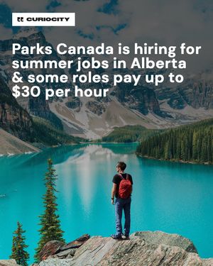 Image post by @curiocitycalgary on Instagram