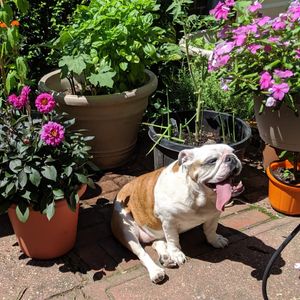 Image post by @kidsgardening on Instagram