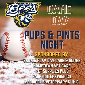 Image post by @burlington_bees on Instagram