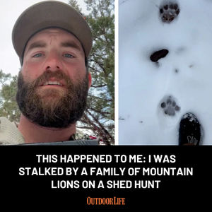 Image post by @outdoor_life on Instagram