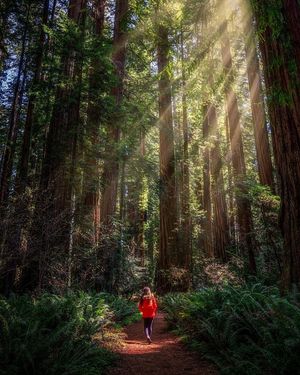 Image post by @nationalparkspartnership on Instagram