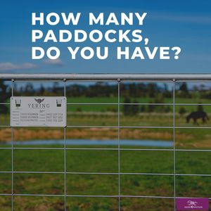 Image post by @equineidsolutions on Instagram