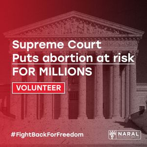 Image post by @reprofreedomforall on Instagram