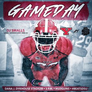 Image post by @youngstownstfb on Instagram