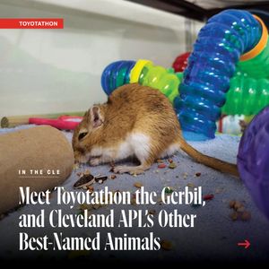 Image post by @clevelandmagazine on Instagram