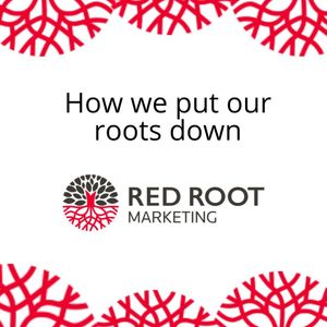 Image post by @redrootmarketing on Instagram