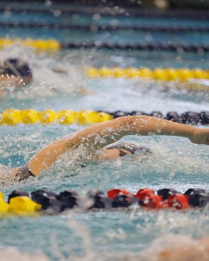 Image post by @sundevilswimdive on Instagram
