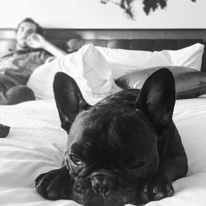 Image post by @curiocollection on Instagram