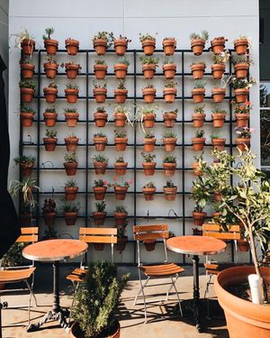 Image post by @zofeeagenota on Instagram