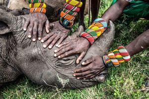 Image post by @natgeo on Instagram