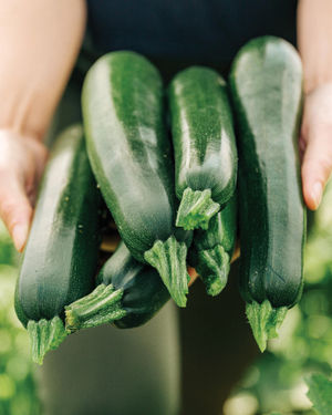 Image post by @wegmans on Instagram