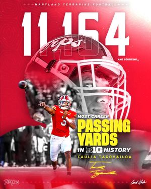 Image post by @umterps on Twitter/X