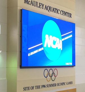 Image post by @stanfordwswim on Instagram