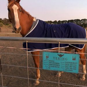 Image post by @equineidsolutions on Instagram