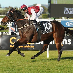 Image post by @australianturfclub on Instagram