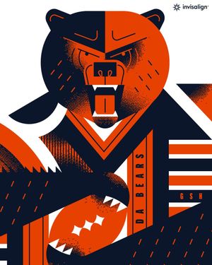 Image post by @chicagobears on Instagram