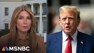 Video post by @msnbc on YouTube