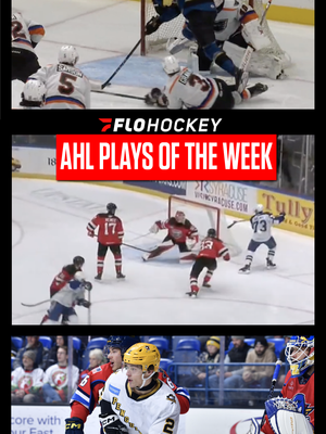 Video post by @flohockeytv on TikTok