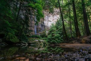 Image post by @tylerleaman on Instagram