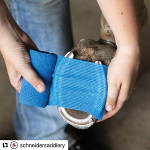 Image post by @kentuckythreedayevent on Instagram