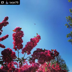 Image post by @fargoparks on Instagram