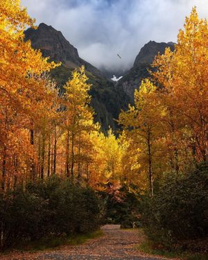 Image post by @nationalparkspartnership on Instagram