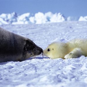 Image post by @discovery on Instagram