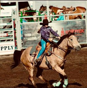 Image post by @boise_bucketlist on Instagram