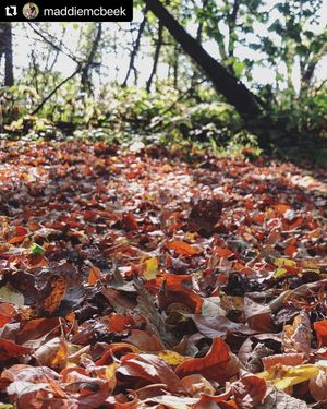 Image post by @fargoparks on Instagram