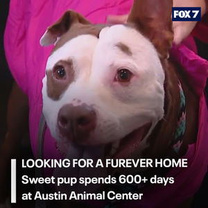 Image post by @fox7austin on Instagram