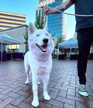 Image post by @capitalcitypublicmarket on Instagram
