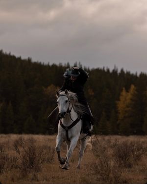 Image post by @cowgirlmagazine on Instagram