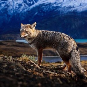Image post by @leonardodicaprio on Instagram