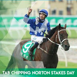 Image post by @australianturfclub on Instagram