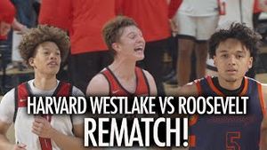 Video post by @qwik11hoops on YouTube