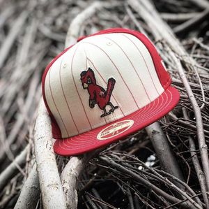 Image post by @lids on Instagram