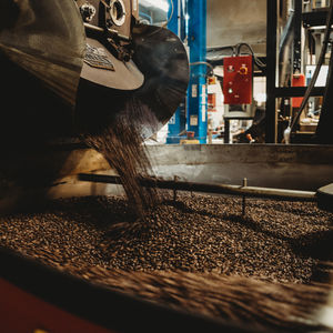 Image post by @fidalgocoffee on Instagram